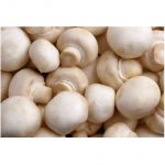 fresh-button-mushroom