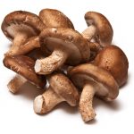 shiitake-mushroom-6×6